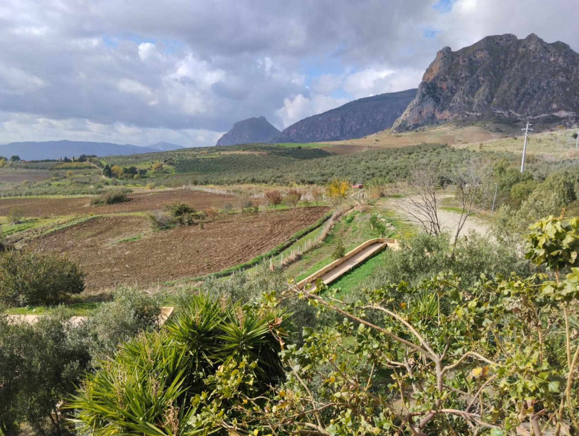 Agriturismo Masseria La Chiusa 圣朱塞佩亚托 外观 照片